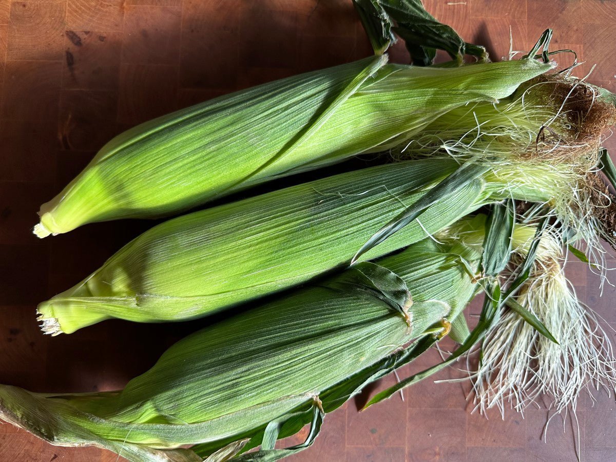 Three fresh ears of corn with husks on, the star ingredient in Lucky Cajun's corn chutney recipe made with What a Jerk Jamaican jerk seasoning.