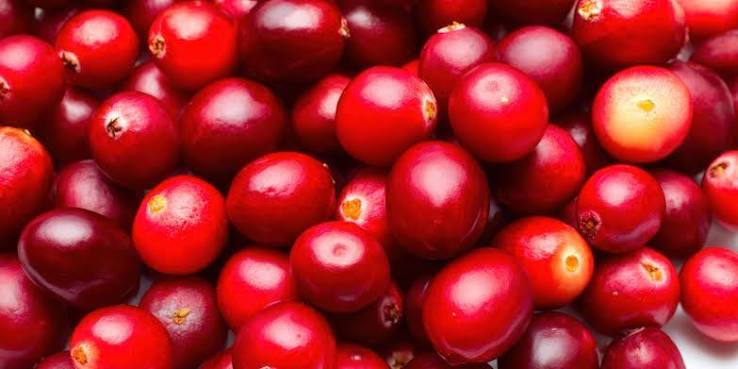 Close up of fresh whole cranberries showing the vibrant red color used in homemade cranberry sauce made with Lucky Cajun Black Label fresh ground seasoning for a subtle warmth underneath the tartness