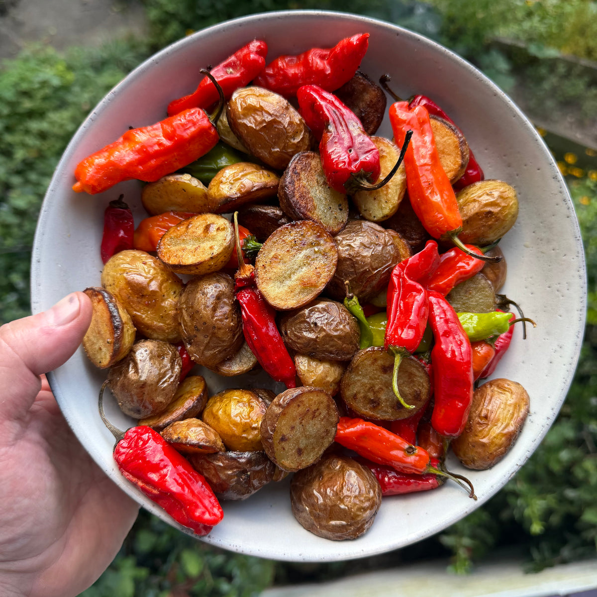 A hand holding a speckled white bowl filled with roasted potato slices seasoned with greek Out and red chili peppers, with a blurred green outdoor background.